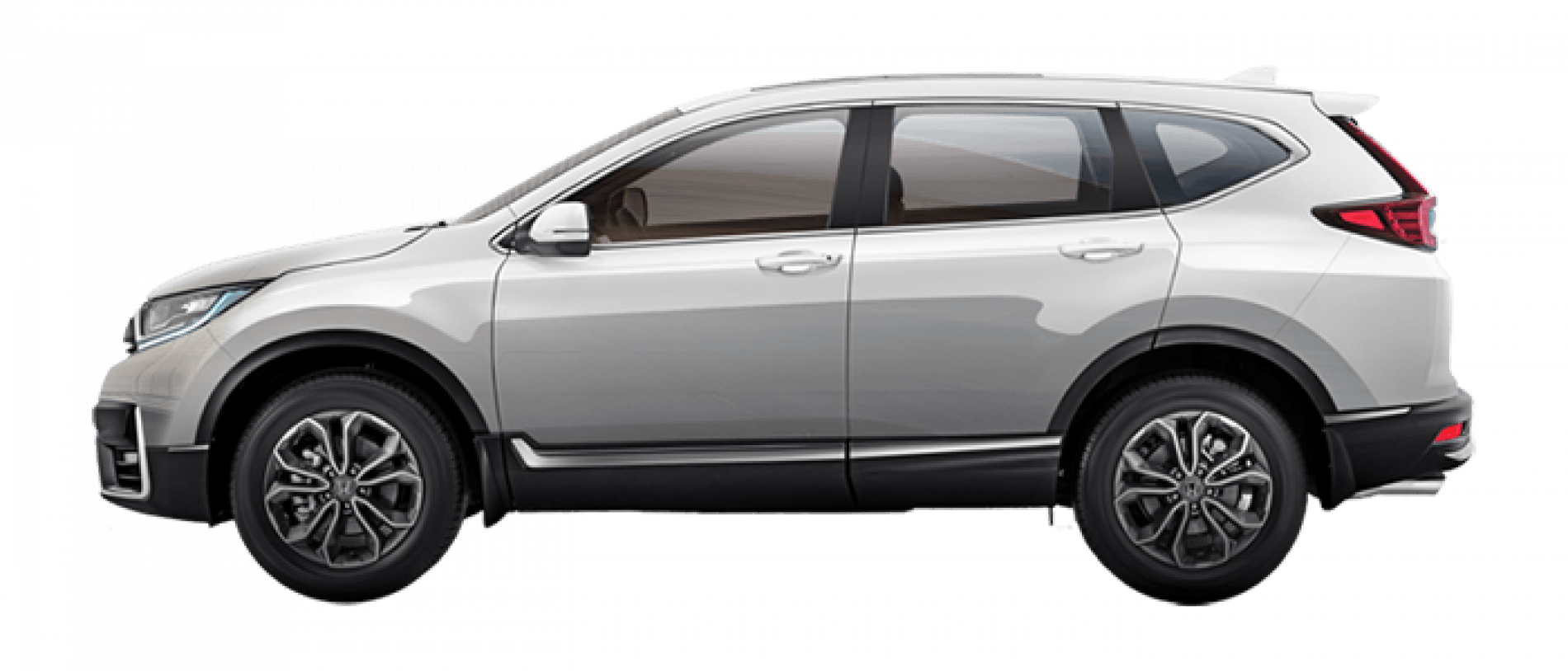 cwhite__1613384007606